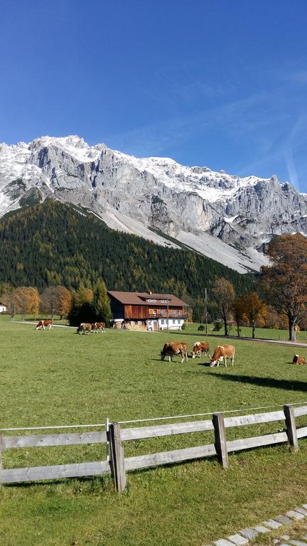 Alpenhaus Birkhahn Guest House Ramsau am Dachstein エクステリア 写真